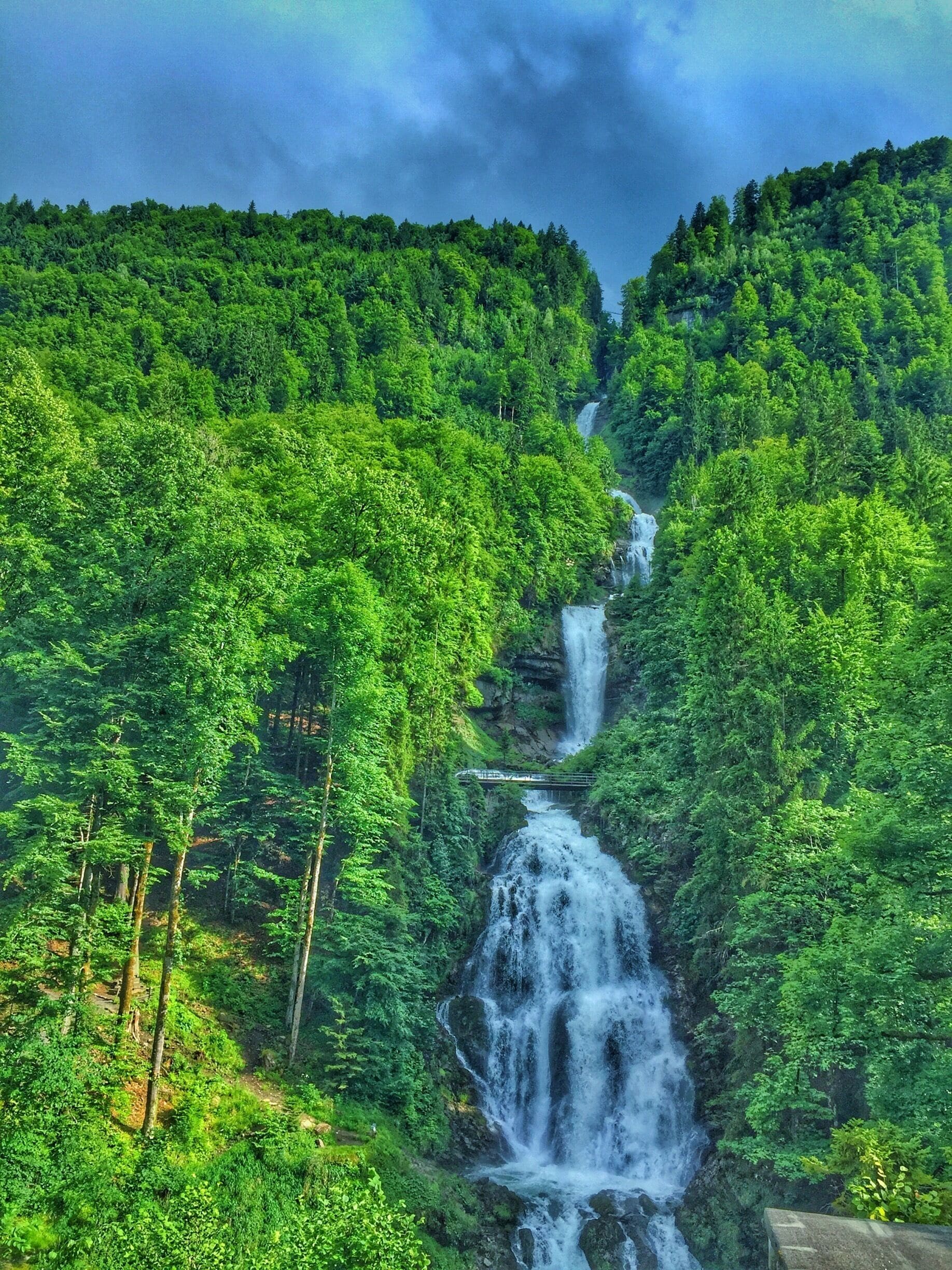 A waterfall cascading through a dense forest.