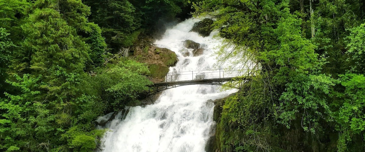 On our trip to Switzerland, our hostess in Interlaken told us to take our Mum to Hotel Giessbach for a meal. She told us that it is situated above Lake Brienz and can be reached via train. We had never been to any such place before so we thought it would be great idea.
.
By the time it was lunch time, Mum was tired and wasnt very keen to travel further. So we had some awesome Chinese food at a nearby restaurant and dropped her back to our B&B.
.
In the evening, my brother and I went on a cruise on Lake Brienz. And while on the cruise, we crossed this super gorgeous Giessbach waterfall which tumbles into Lake Brienz. Above the falls was the hotel where we had planned to go earlier.
.
That color of water and those trees surely had me.
#Switzerland