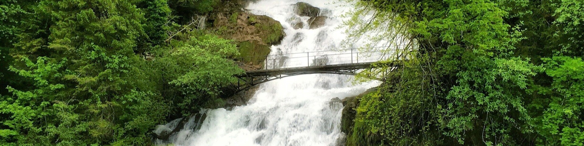 On our trip to Switzerland, our hostess in Interlaken told us to take our Mum to Hotel Giessbach for a meal. She told us that it is situated above Lake Brienz and can be reached via train. We had never been to any such place before so we thought it would be great idea.
.
By the time it was lunch time, Mum was tired and wasnt very keen to travel further. So we had some awesome Chinese food at a nearby restaurant and dropped her back to our B&B.
.
In the evening, my brother and I went on a cruise on Lake Brienz. And while on the cruise, we crossed this super gorgeous Giessbach waterfall which tumbles into Lake Brienz. Above the falls was the hotel where we had planned to go earlier.
.
That color of water and those trees surely had me.
#Switzerland