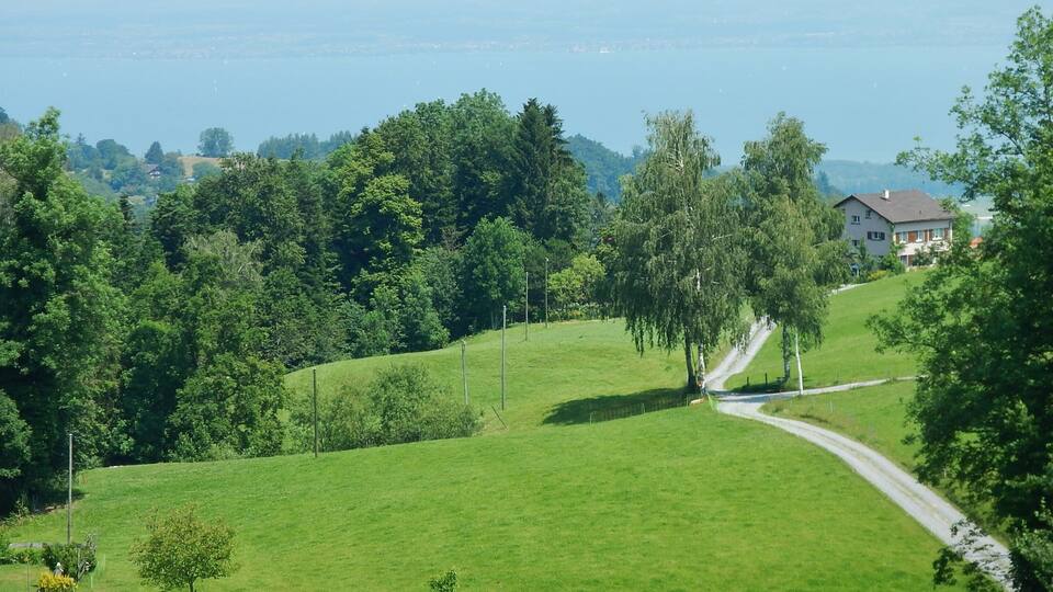A green hillside with a winding road, trees, and a house in the background.