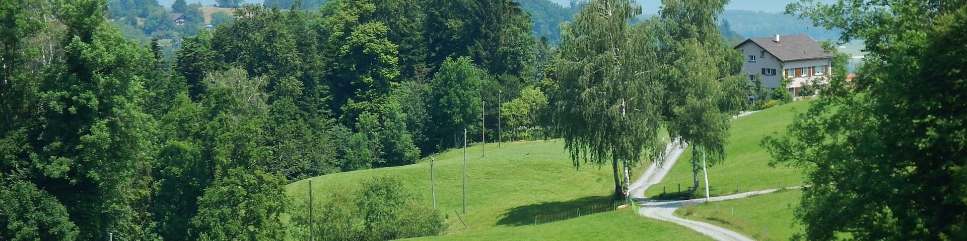 Ausblick von der Zahnradbahn von Rorschach nach Heiden