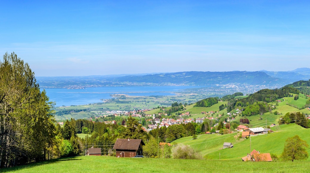 herrliche Aussicht auf die östliche Bodensee-Region