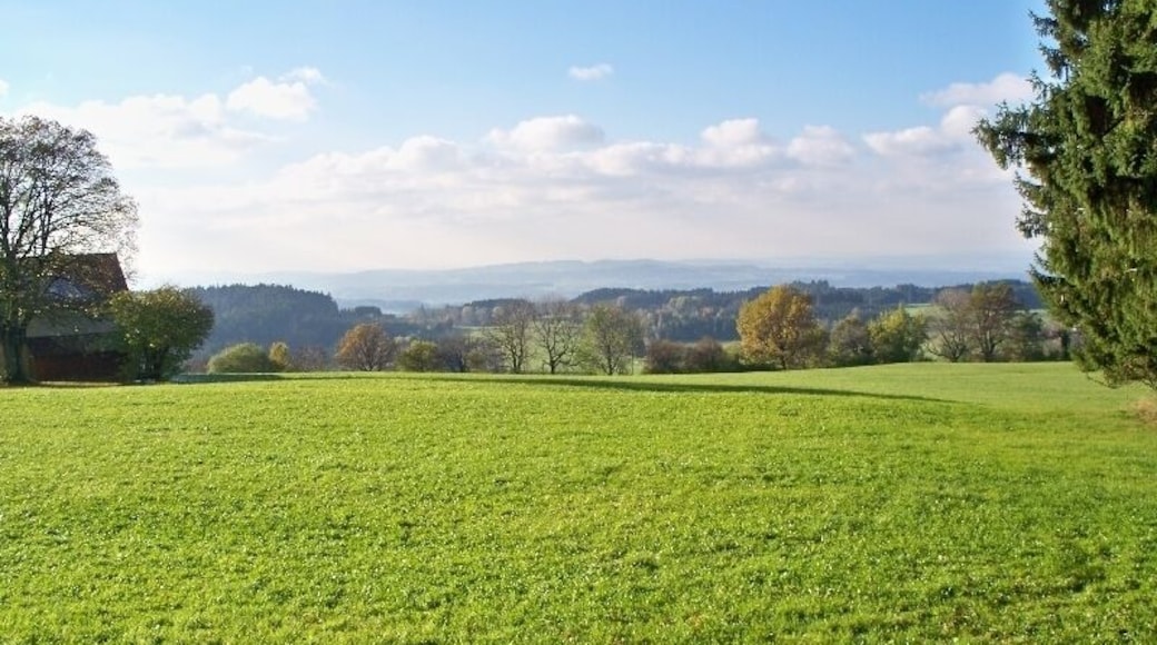 Hinterer Ätschberg, Abtwiler OpenAir 1977