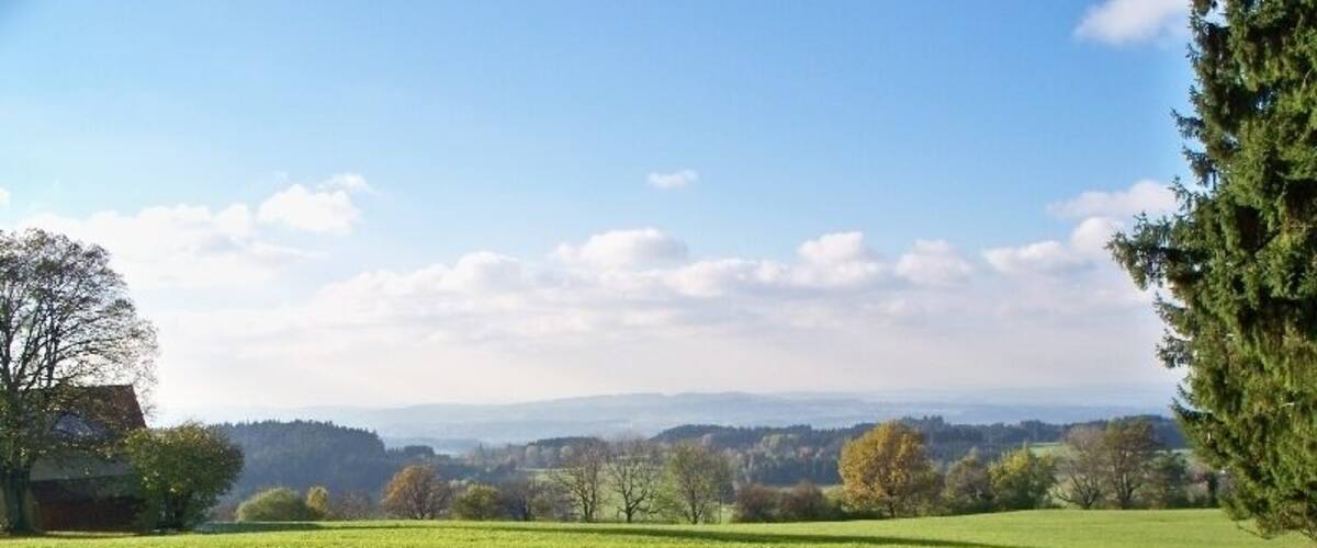 A green field with a tree and a building in the distance.