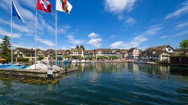 A marina with flags, boats, and houses by the water.