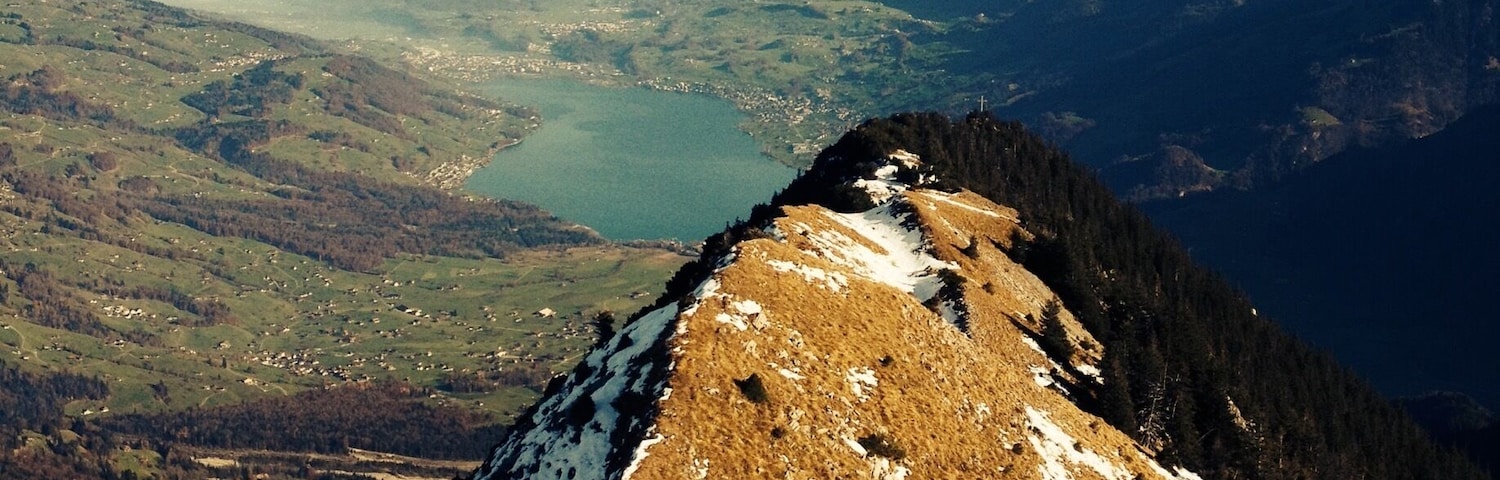 Giswilerstock