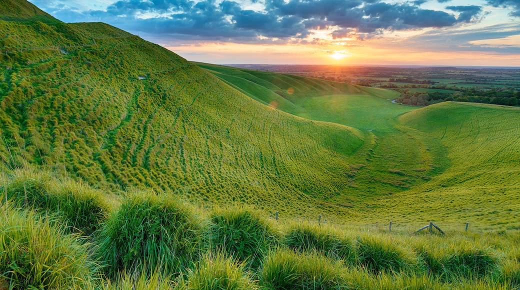 Rolling green hills with a sunset in the background.