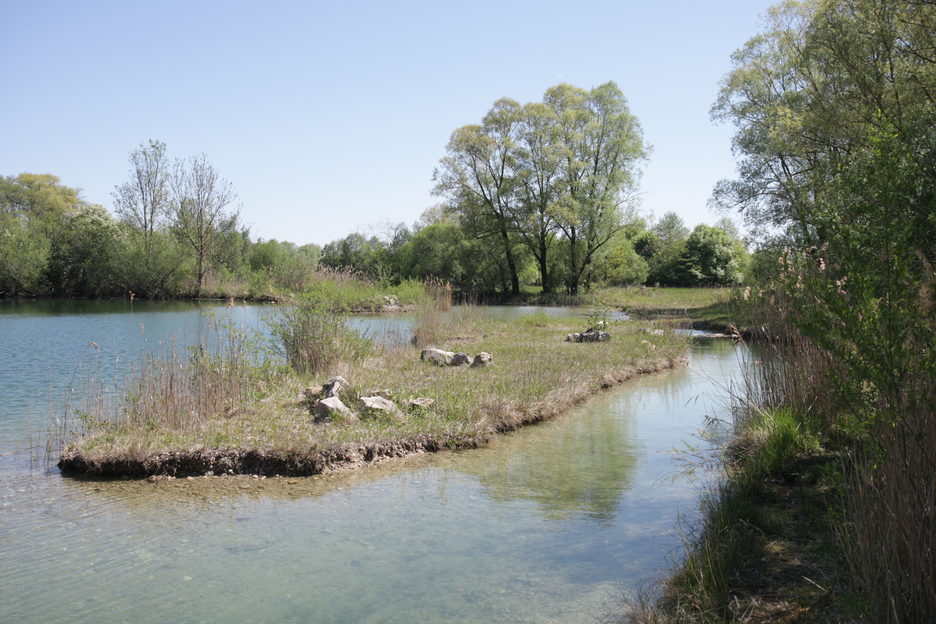Teich im FFH-Gebiet "NSG südlich der Ismaninger Fischteiche"; Blickrichtung Ost