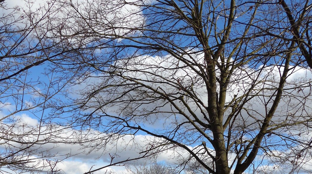 Feldkircher Tangente bei Dornach zwischen Erdinger Landstr. und ST 2082