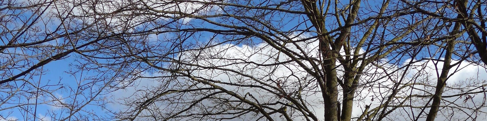 Feldkircher Tangente bei Dornach zwischen Erdinger Landstr. und ST 2082