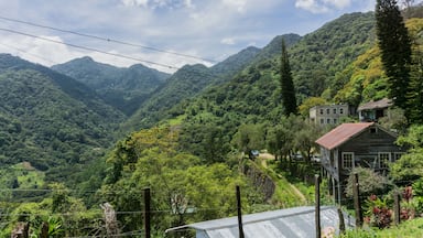 A mountainous landscape with lush greenery, a wooden house, and a metal-roofed structure.