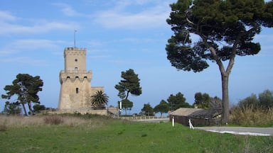 Torre Cerrano