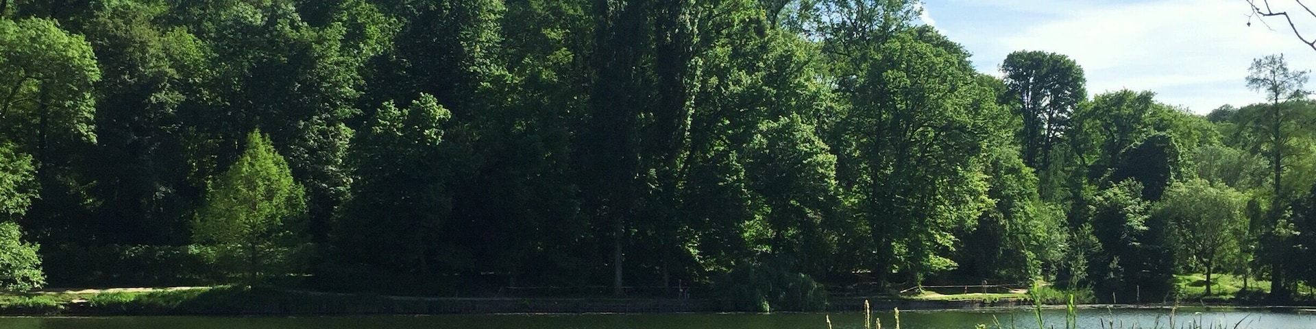 One of the two « Corot » ponds, named in reference to the painter Jean Baptiste Camille Corot (Ville d’Avray - France)
#pond #france #europe
May 2018 - Iphone 6