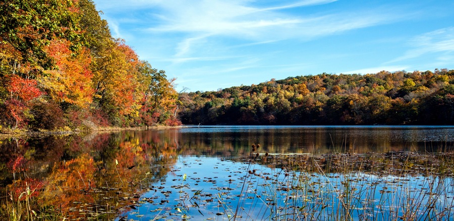 Fall foliage at Norwich Pond, Nehantic State Forest in Connecticut.