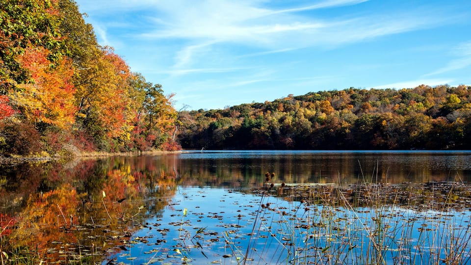 A calm lake surrounded by autumn-colored trees.