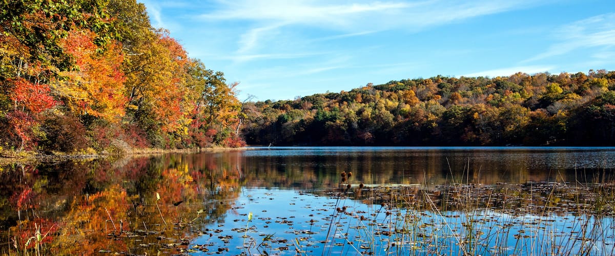 A calm lake surrounded by autumn-colored trees.