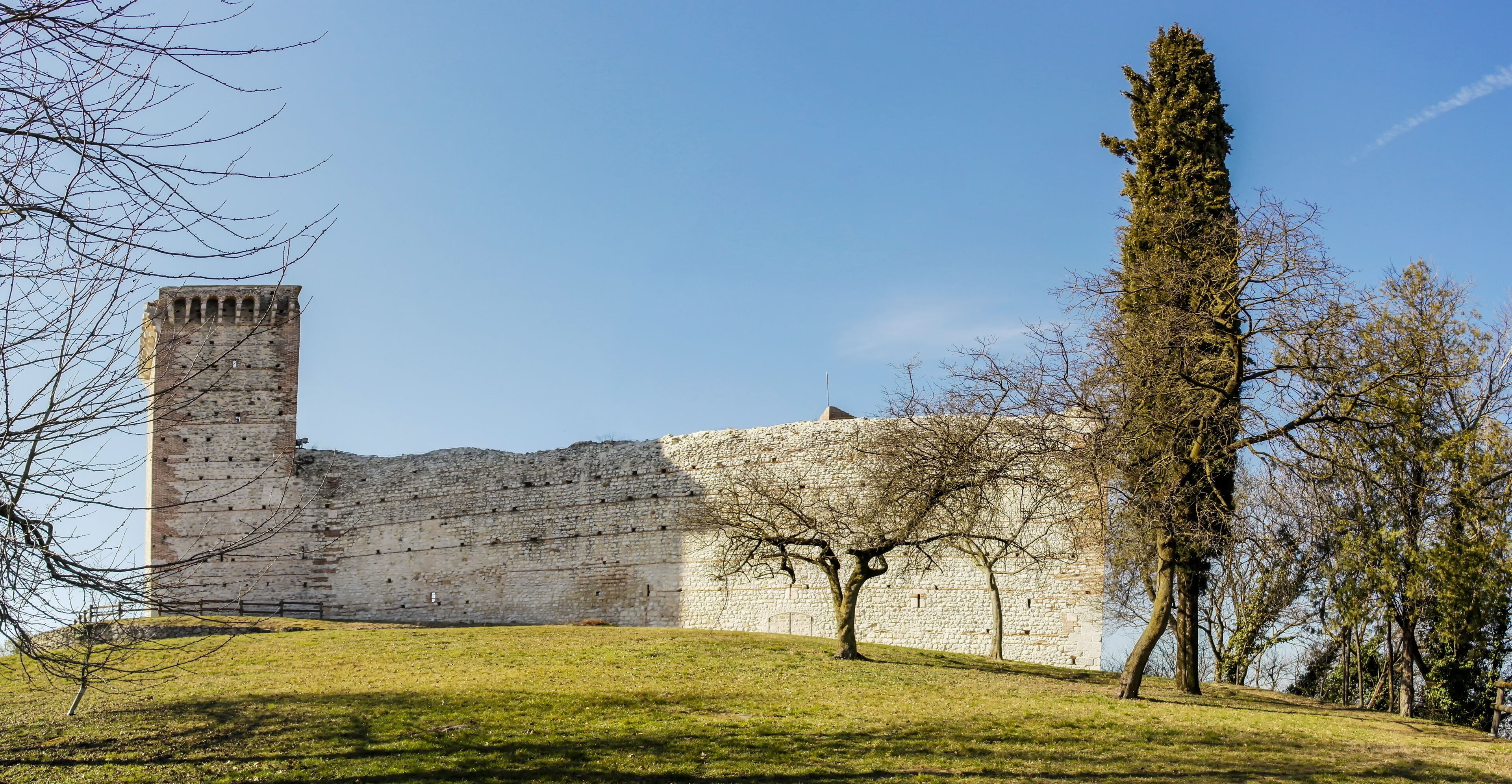 A historic stone castle with a tall tower, surrounded by a grassy hill and leafless trees.