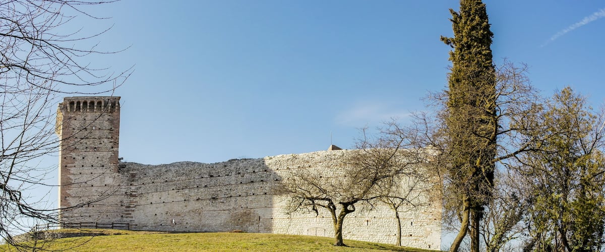 A historic stone castle with a tall tower, surrounded by a grassy hill and leafless trees.