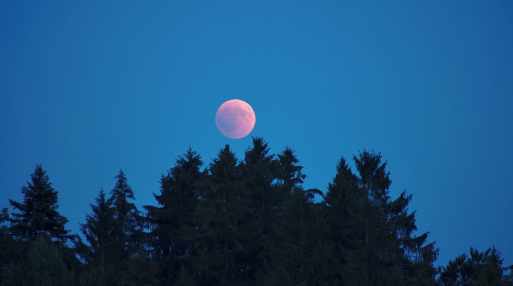 Lunar Eclipse 2018 SG 014