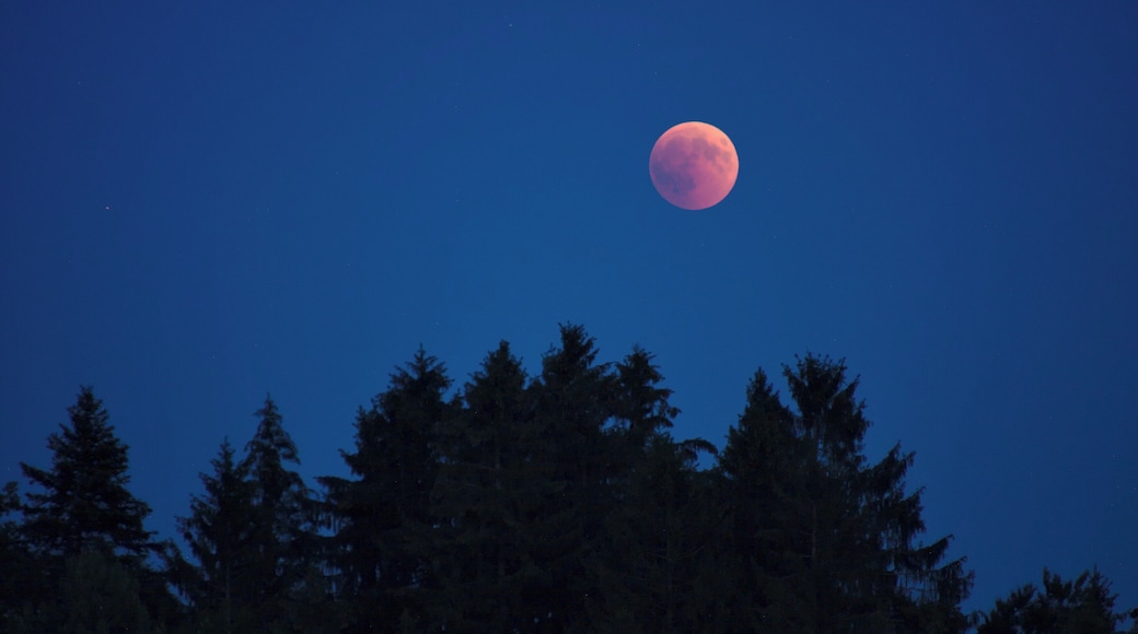 Lunar Eclipse 2018 SG 016