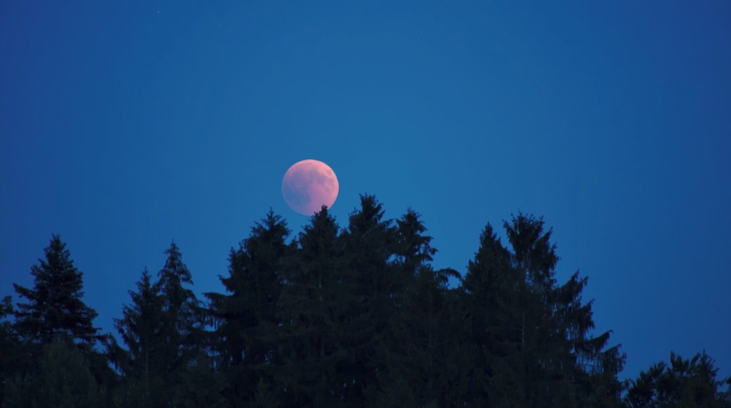 Lunar Eclipse 2018 SG 011