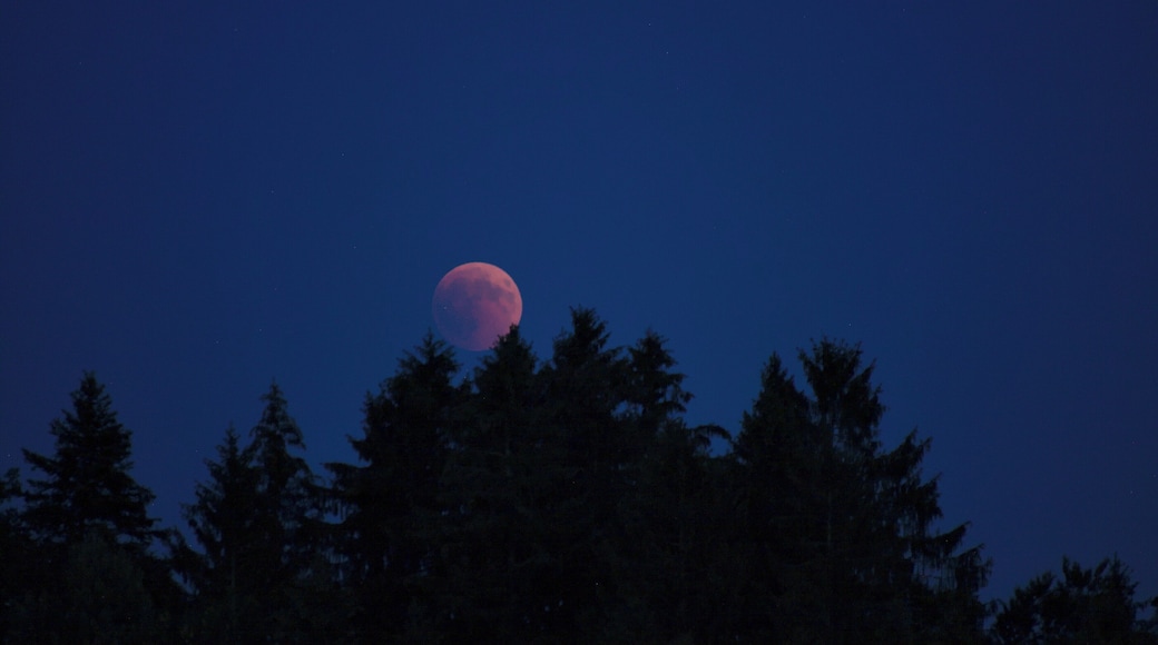 Lunar Eclipse 2018 SG 010