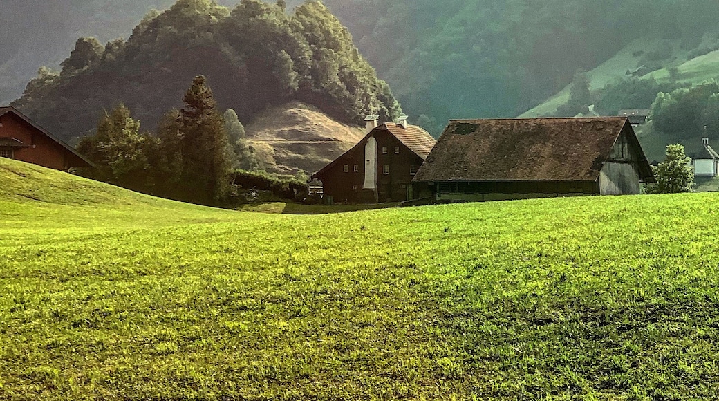 Taken through a window on the train. Switzerland is so beautiful.