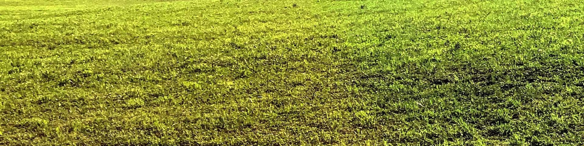 Taken through a window on the train. Switzerland is so beautiful.