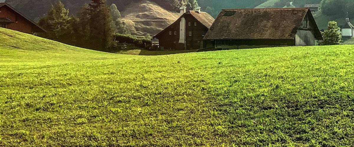 A rural landscape with a large mountain, several houses, and a green field.