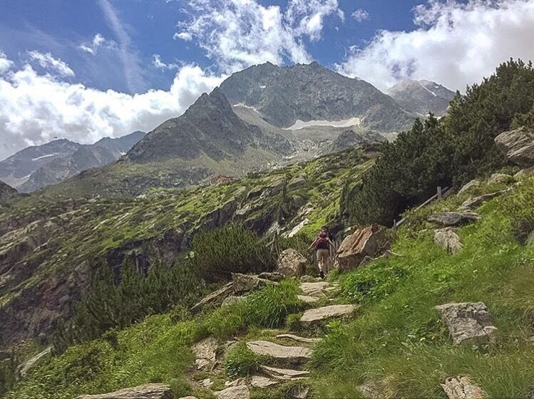 A hiker on a rocky mountain trail with lush greenery and distant snow-capped peaks.