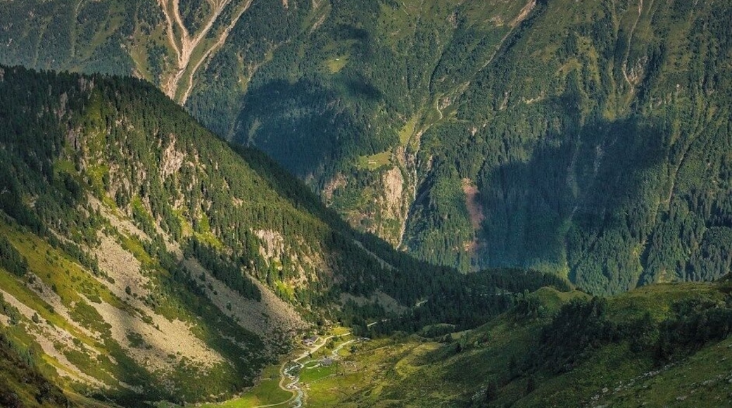 August 2017
Falbesoner Ochsenalm, Stubai Alps, Austria
Stubai Alps belong to the Central Alps and are quite near from Innsbruck. The picture was taken on route from Franz-Senn hut to Neue Regensburger hut. The meadow below is called Falbesoner Ochsenalm (1.822 m alt.). It is on the way down to Falbeson village in the valley of Unterbergtal which is basically the main valley of the whole Stubaital. Just over the valley the Habicht peak is rising with its impressive 3.277 meters.