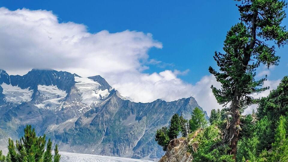 A mountain landscape with a glacier, green trees, and a clear blue sky.