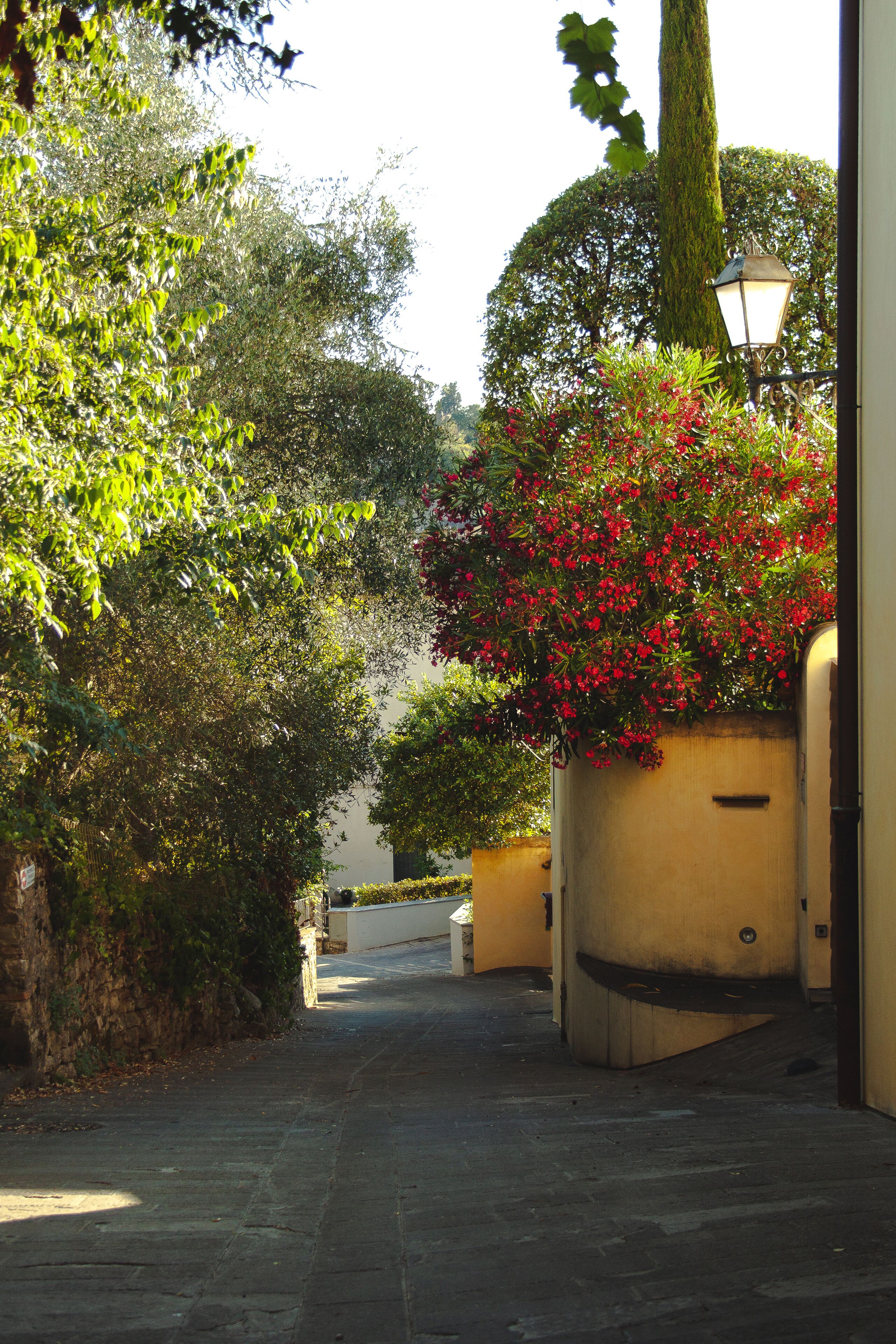 beautiful street in Calenzano, Firenze Italy