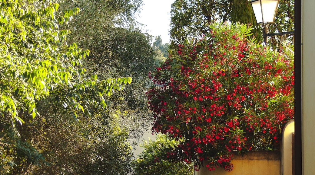 beautiful street in Calenzano, Firenze Italy
