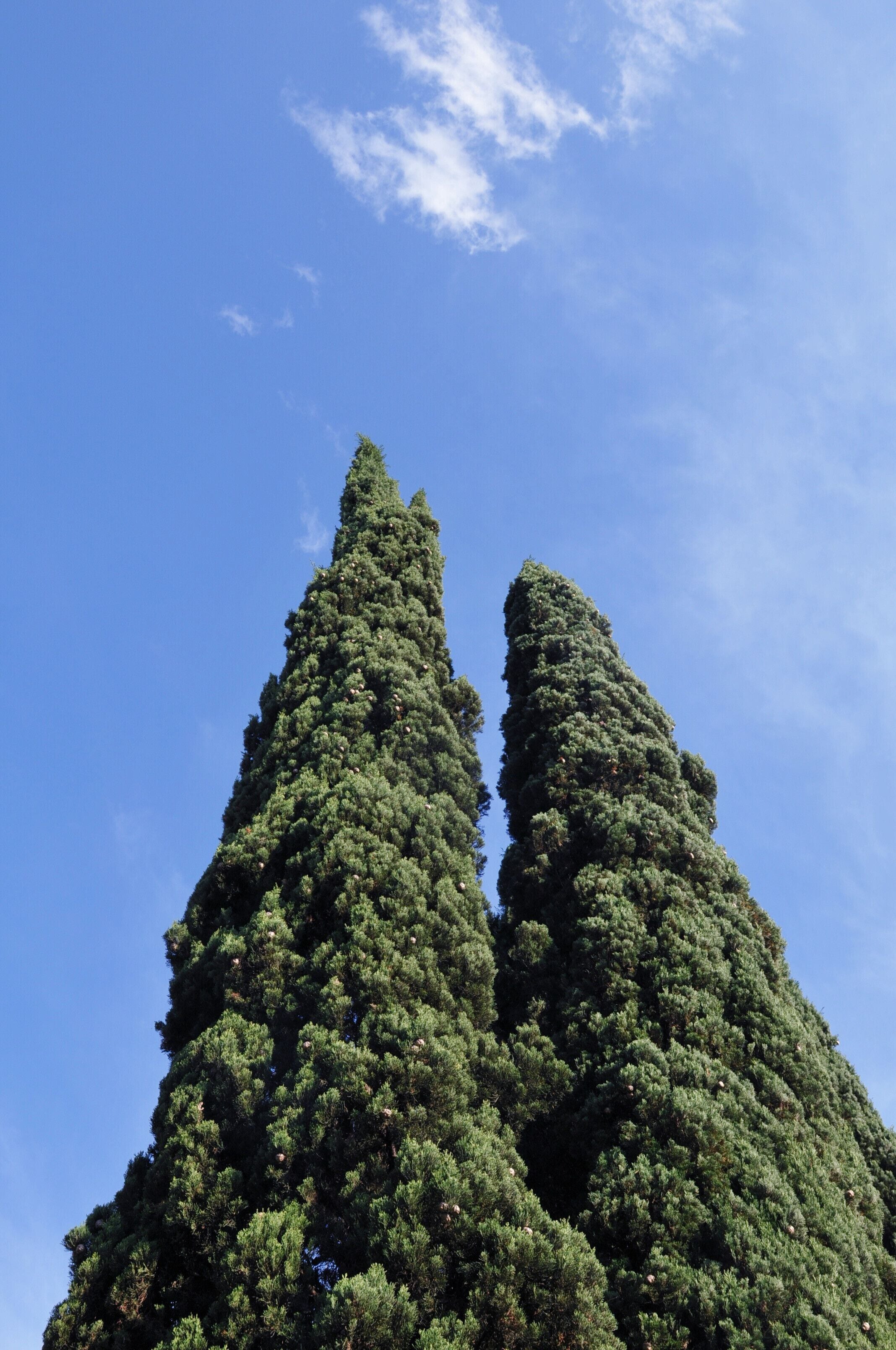 意大利佛罗伦萨 Firenze, Italia Florenz, Italien Florence, Italy Cina Xinjiang, Urumqi il benvenuto alla visita della città China Xinjiang Urumqi, sind Sie herzlich eingeladen, Tourismus China Xinjiang Urumqi Welcome you to tour the, China de Xinjiang Urumqi bienvenida a visitas turísticas Китай Синьцзяна Урумчи приветствовать Вас на экскурсию, الصين ترحب زيارتك لاورومتشى فى شينجيانغ