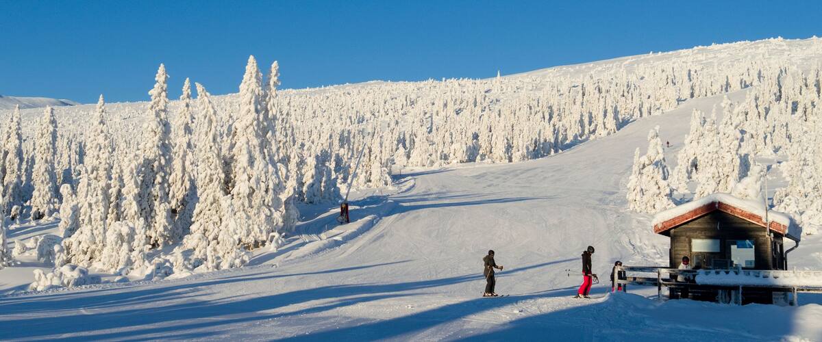 A snowy mountain slope with a ski lodge and a forest of snow-covered trees.