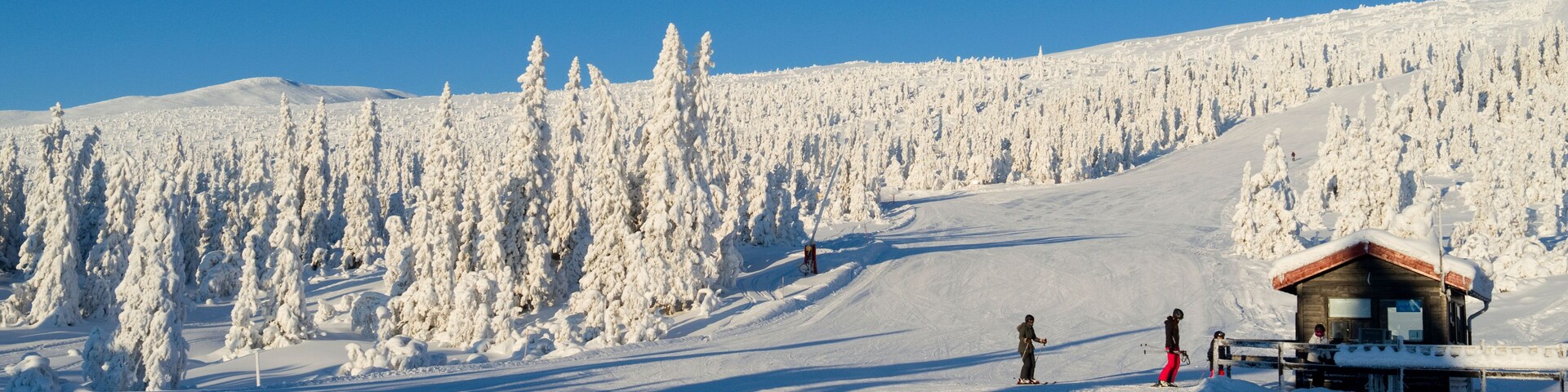 A snowy mountain slope with a ski lodge and a forest of snow-covered trees.