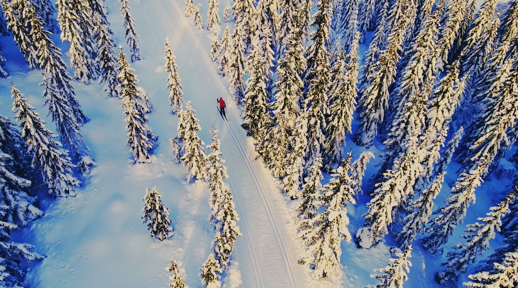 Ski