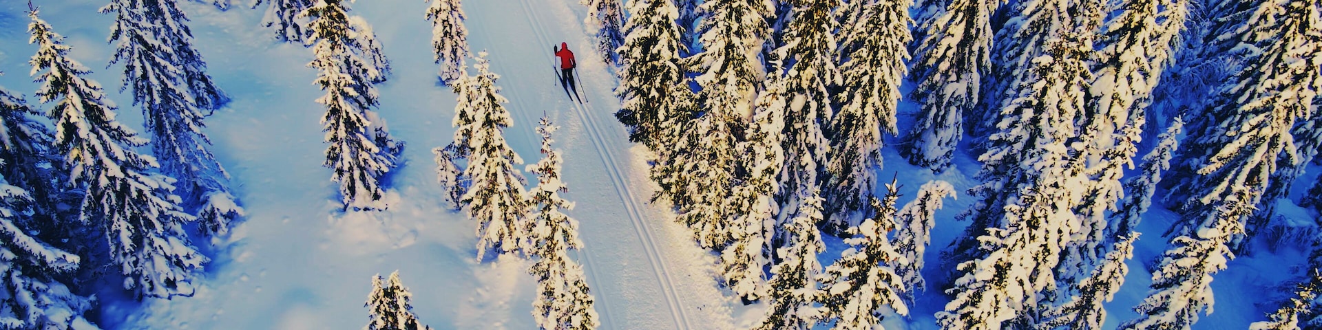 Woman cross country skiing through an idyllic winter wonderland with snow capped trees.