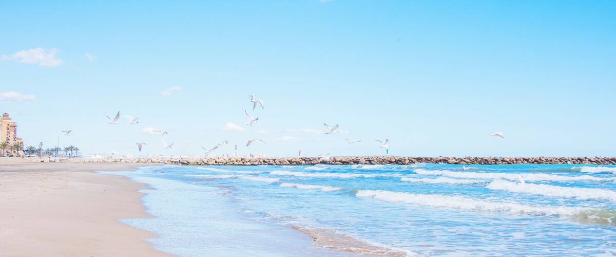 A beach with waves, a rocky breakwater, and seagulls flying.