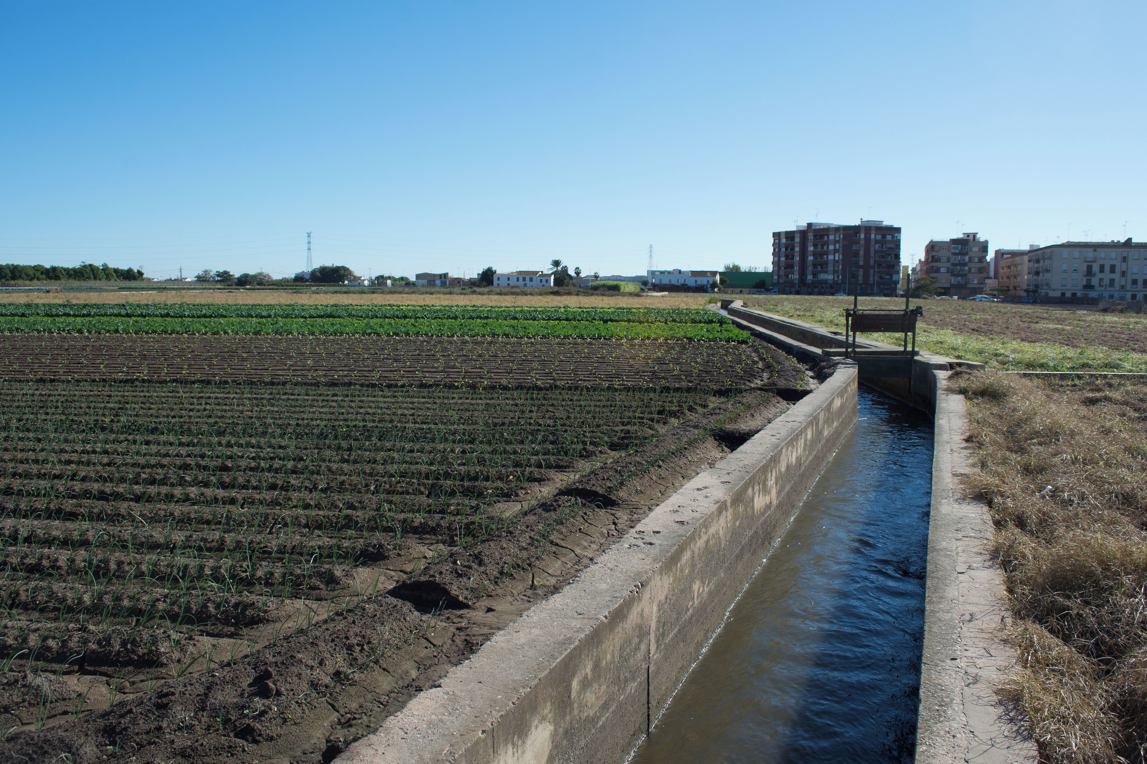 Partida dels Desemparats.