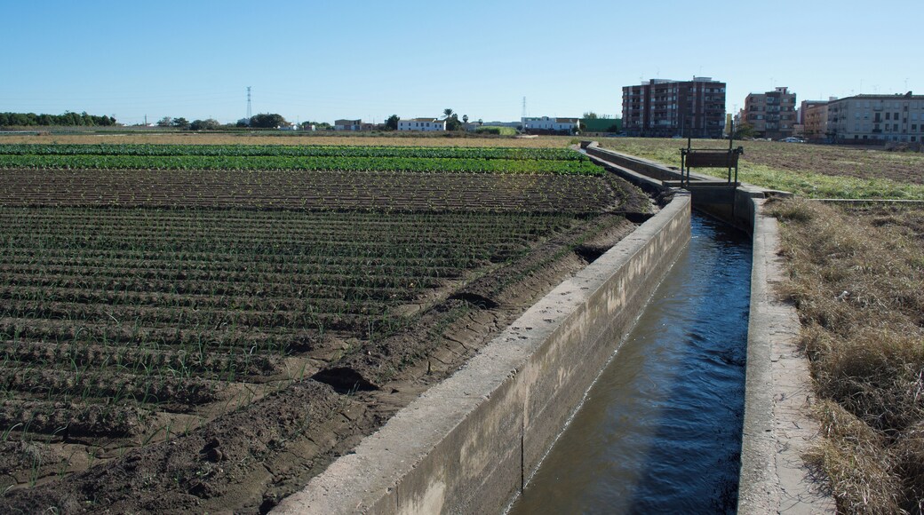 Partida dels Desemparats.
