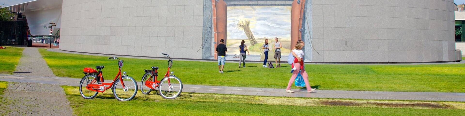 Van Gogh Museum showing cycling