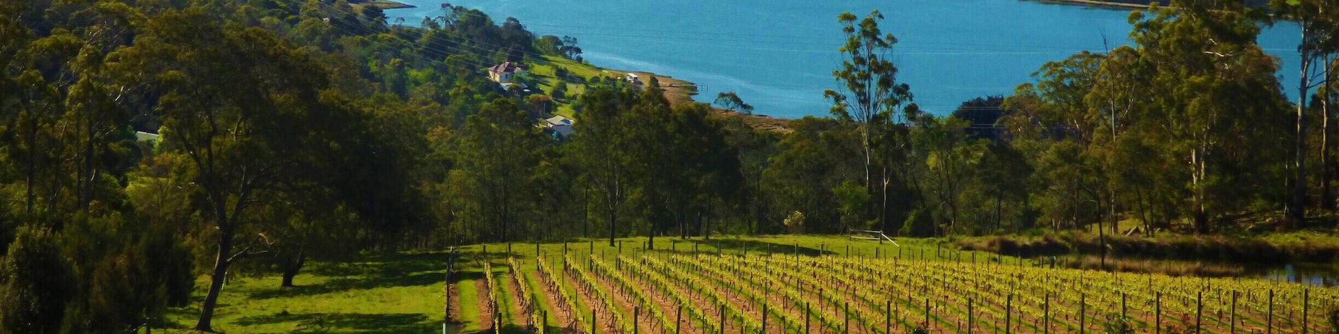 Brady's Lookout State Reserve - Tamar Valley Tasmania towards River Tamar