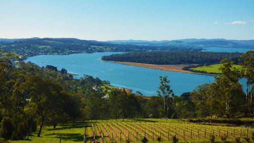 Brady's Lookout State Reserve - Tamar Valley Tasmania towards River Tamar