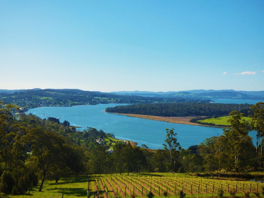 Brady's Lookout State Reserve - Tamar Valley Tasmania towards River Tamar