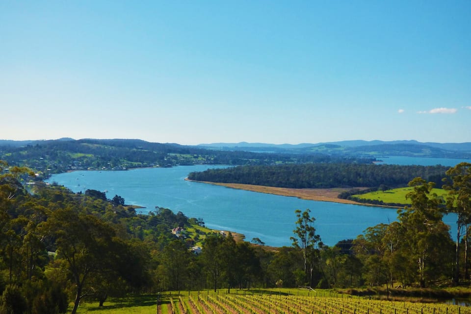 Un río serpentea por un valle con viñedos y un lago a lo lejos.