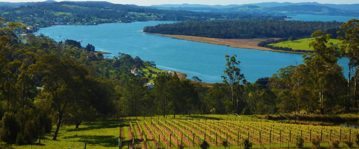 A river winding through a valley with vineyards and a lake in the distance.