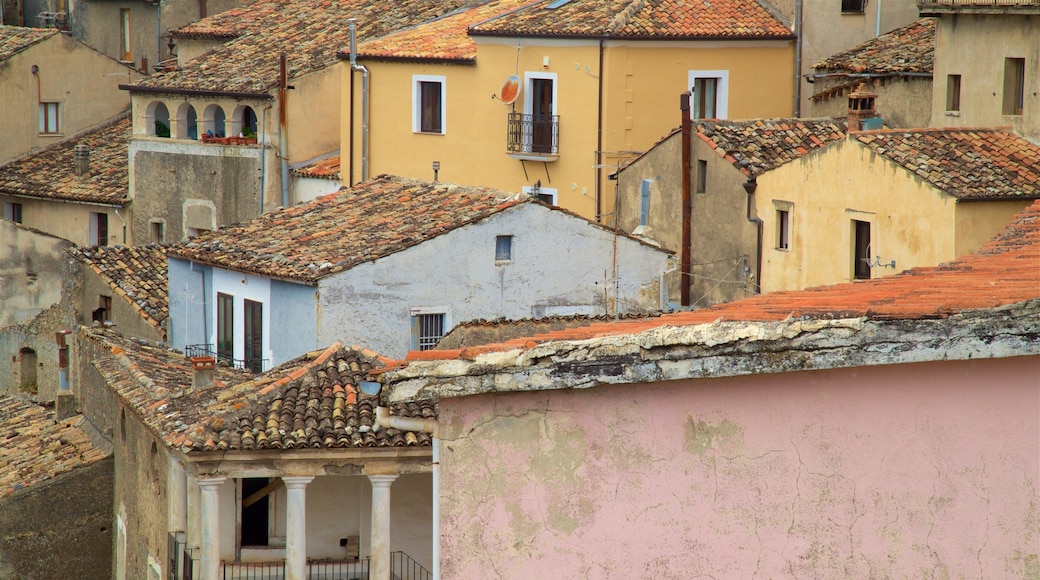 Altomonte which includes a small town or village