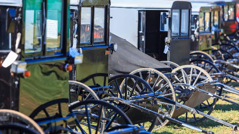 Buggies to Sell at Mud Sale